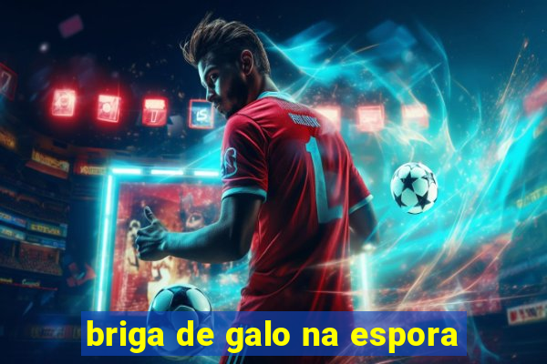 briga de galo na espora